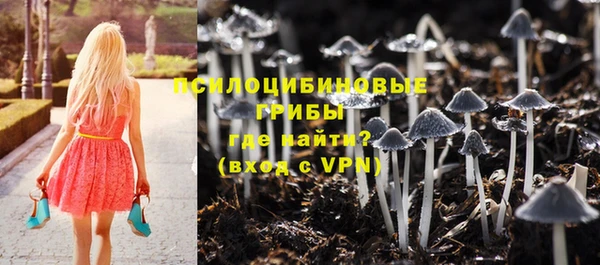 шишки Красноперекопск