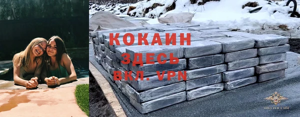 молекула духа Липки