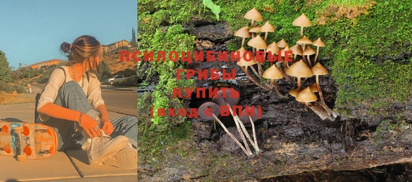 mdpv Лиски